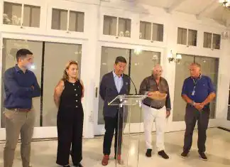 Borrador automático