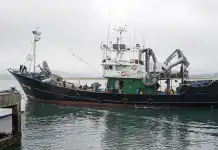 Cantabria ampliará el espacio de atraque y descarga del puerto de Laredo Borrador automático