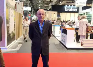 Borrador automático