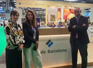 Borrador automático